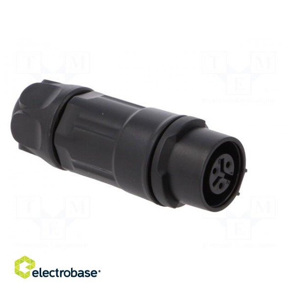 Plug | Connector: circular | MRD | PIN: 3 | 24AWG÷20AWG | gold flash | 5A paveikslėlis 8