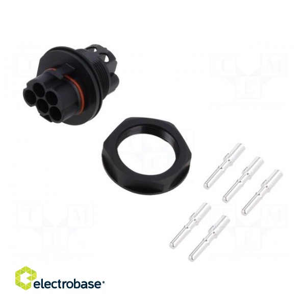 Connector: AC supply | male | 8mm2 | screw terminal | socket | 50A | 500V