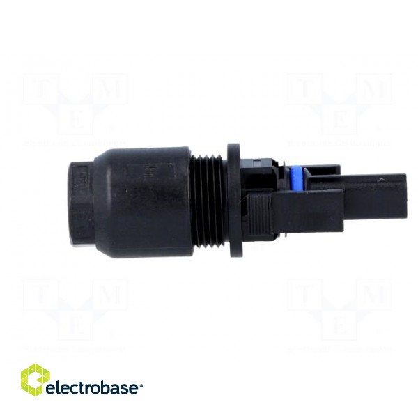 Connector: solar | female | "-" marking | 4mm2 | with contacts | plug paveikslėlis 7