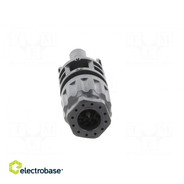 Connector: solar | female | 4÷6mm2 | with contacts | crimped | SOLARLOK paveikslėlis 5