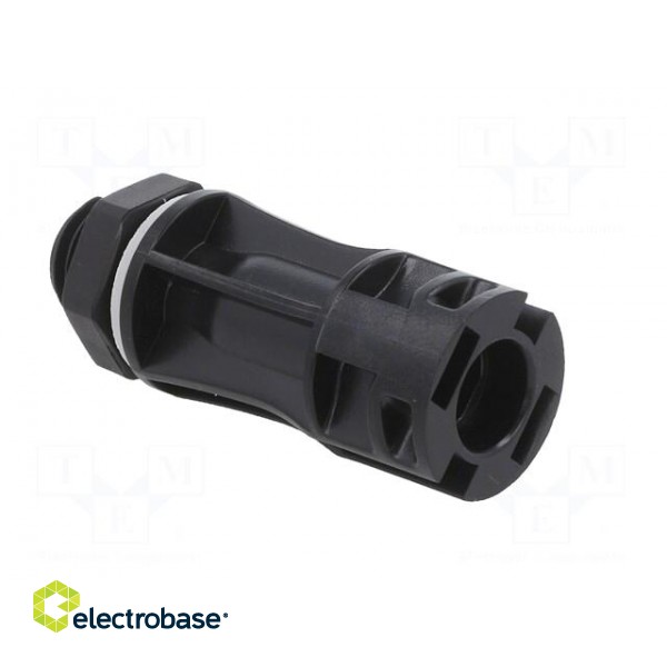 Connector: solar | male | 4÷6mm2 | with contacts | crimped | socket paveikslėlis 8