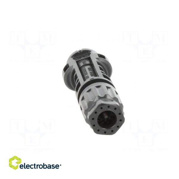 Connector: solar | male | 4÷6mm2 | with contacts | crimped | SOLARLOK paveikslėlis 5
