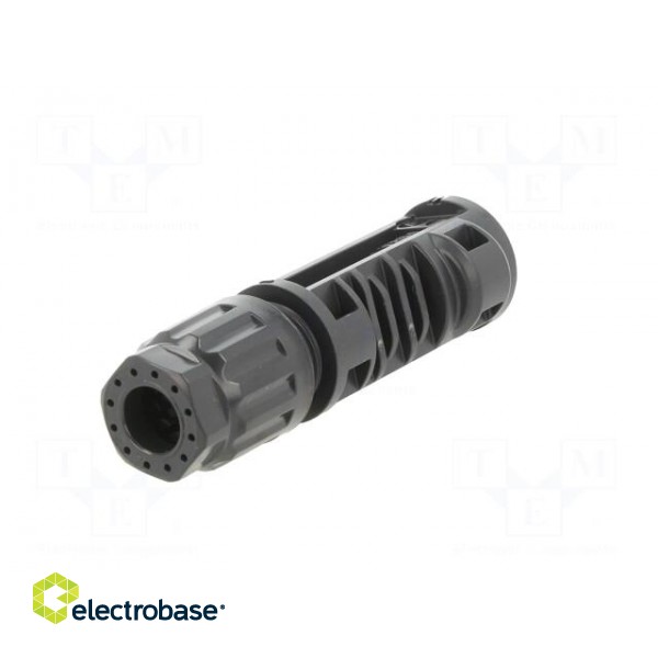 Connector: solar | male | 4÷6mm2 | with contacts | crimped | SOLARLOK paveikslėlis 6