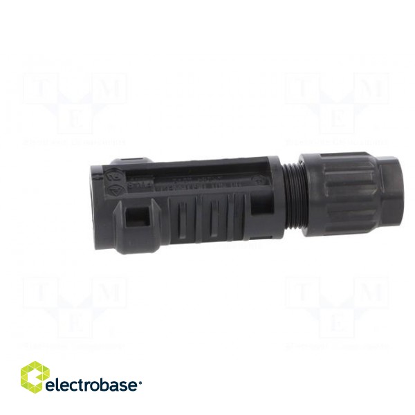 Connector: solar | male | 4÷6mm2 | with contacts | crimped | SOLARLOK paveikslėlis 3