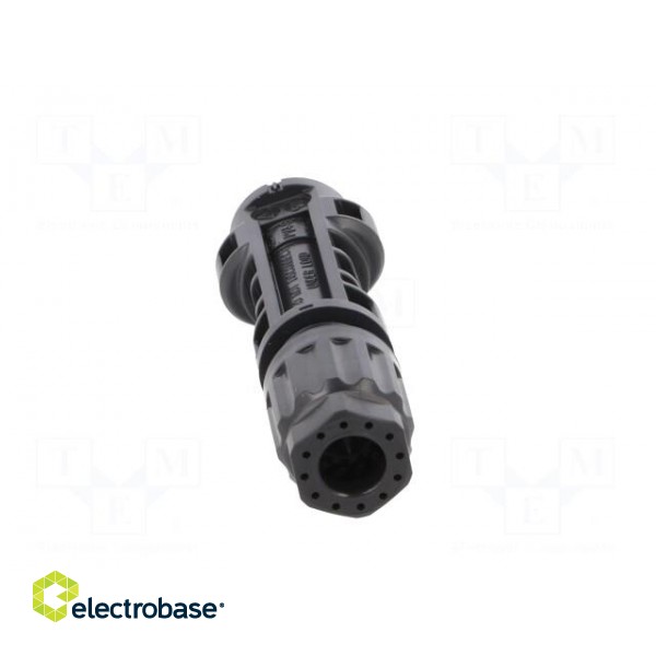 Connector: solar | male | 4÷6mm2 | with contacts | crimped | SOLARLOK paveikslėlis 5