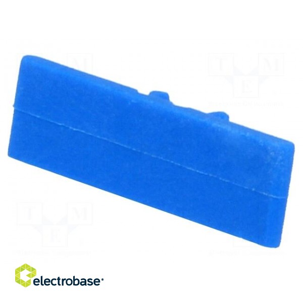 Protection | Application: ZG-G4 | blue | Width: 6.2mm | polyamide paveikslėlis 1