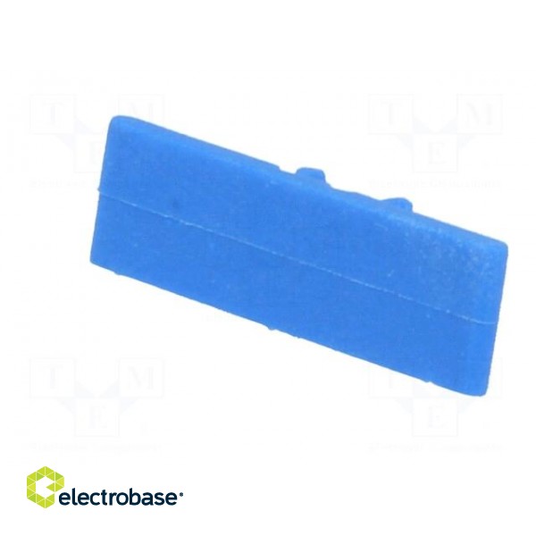 Protection | Application: ZG-G4 | blue | Width: 6.2mm | polyamide фото 2