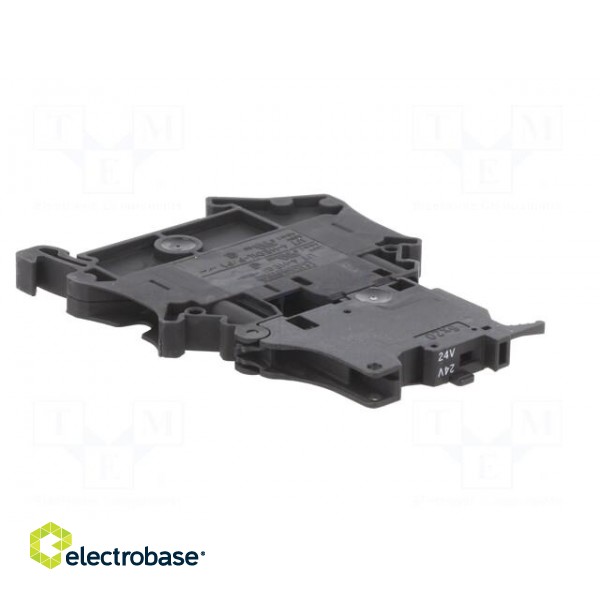 Splice terminal: rail | screw terminal | polyamide | TS32,TS35 image 8