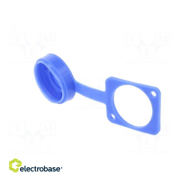 Protection cap | blue | XLR standard | 19x24mm | FT image 2