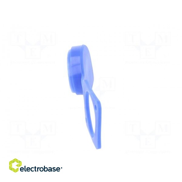 Protection cap | blue | Case: XLR standard | 19x24mm | Series: FT paveikslėlis 3