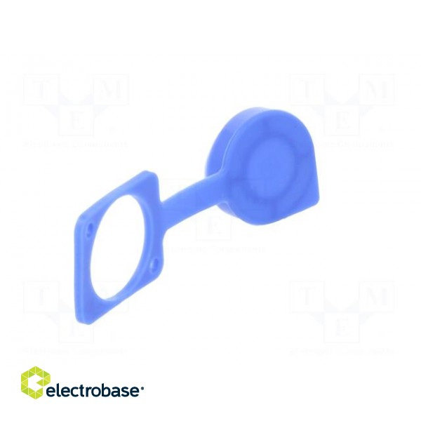 Protection cap | blue | Case: XLR standard | 19x24mm | Series: FT фото 4