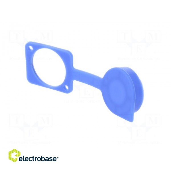 Protection cap | blue | Case: XLR standard | 19x24mm | Series: FT фото 6