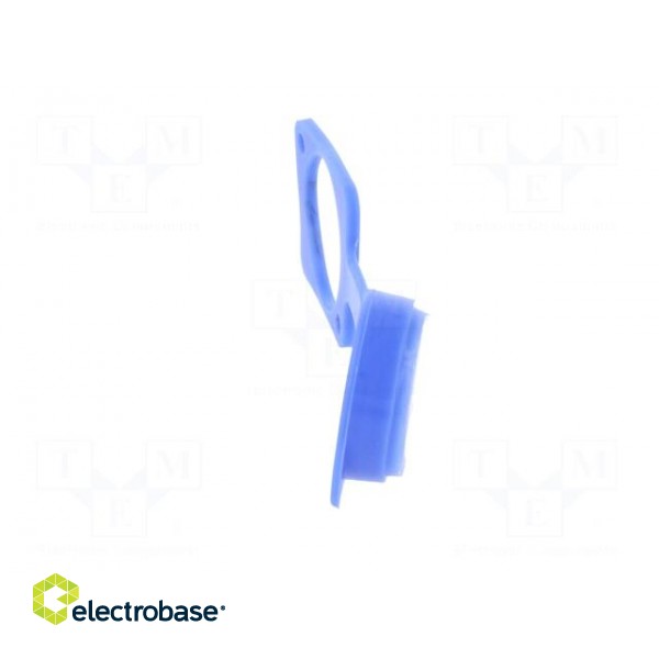 Protection cap | blue | Case: XLR standard | 19x24mm | Series: FT image 7