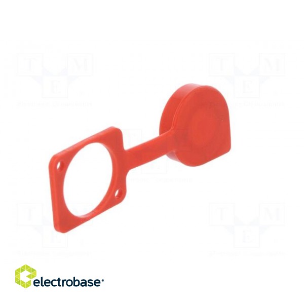 Protection cap | red | Case: XLR standard | 19x24mm | Series: FT фото 4