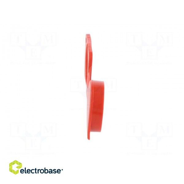 Protection cap | red | Case: XLR standard | 19x24mm | Series: FT paveikslėlis 7