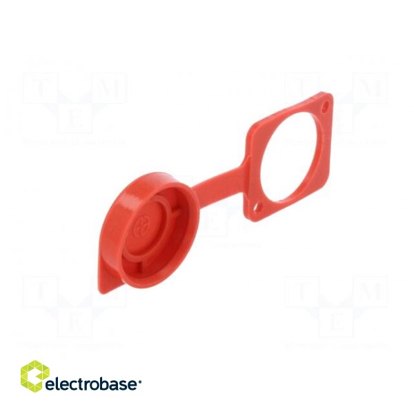 Protection cap | red | Case: XLR standard | 19x24mm | Series: FT paveikslėlis 8