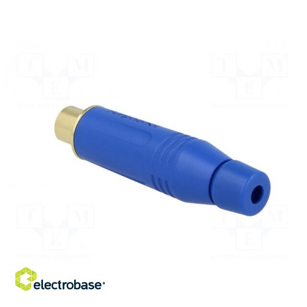 Plug | RCA | female | straight | soldering | blue | gold-plated | 3÷7mm фото 4
