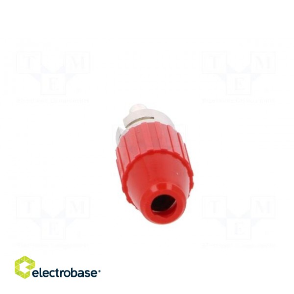 Plug | RCA | male | straight | soldering | red | brass | Enclos.mat: acetal image 5
