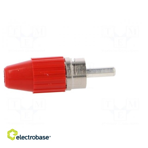 Plug | RCA | male | straight | soldered | red | brass | Enclos.mat: acetal фото 7