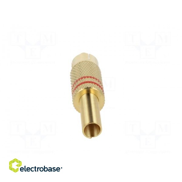 Plug | RCA | male | with strain relief | straight | soldering paveikslėlis 5