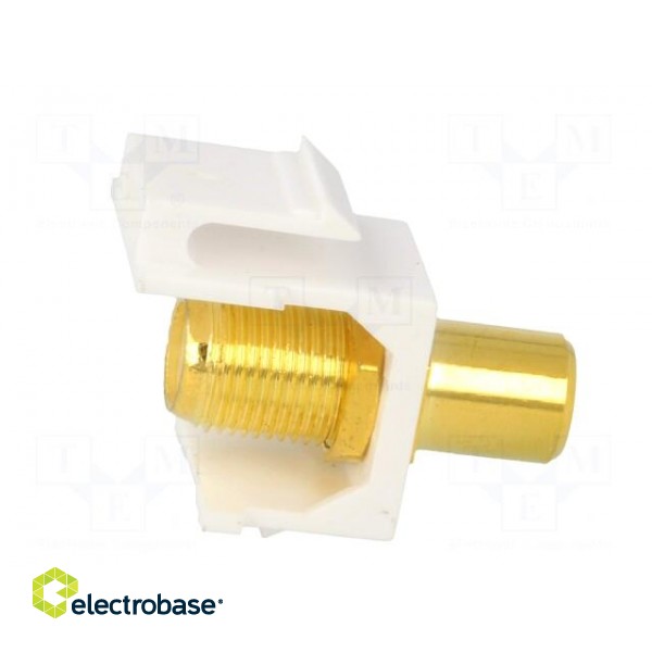 Socket | Transition: adapter | female x2 | straight | gold-plated image 7