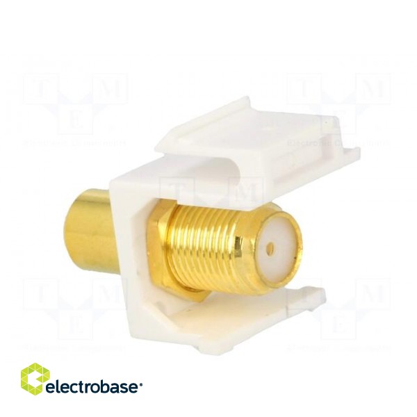 Socket | Transition: adapter | female x2 | straight | gold-plated image 4