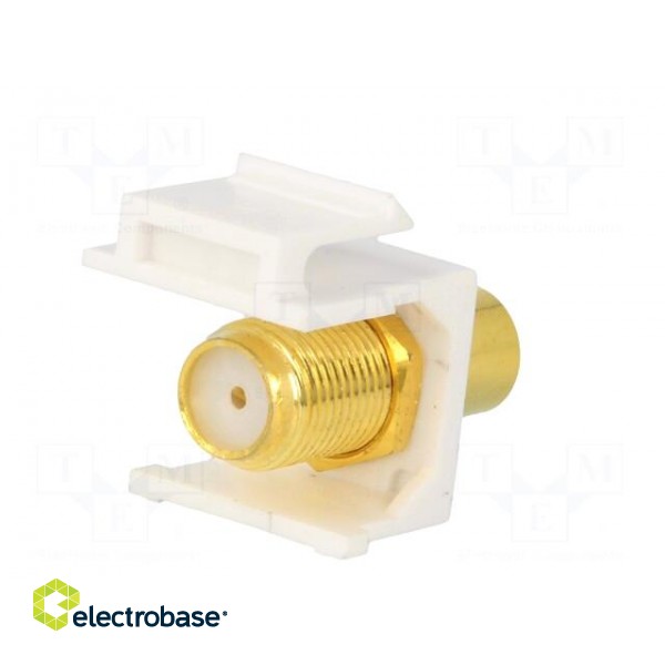 Socket | Transition: adapter | female x2 | straight | gold-plated image 6