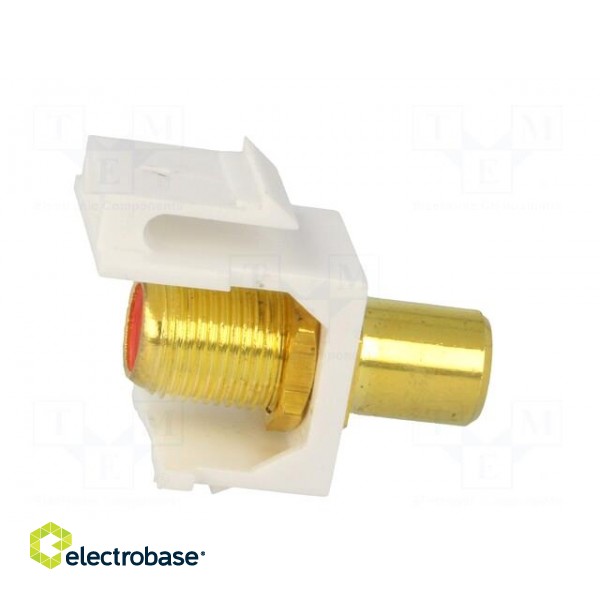 Socket | Transition: adapter | female x2 | straight | gold-plated image 7