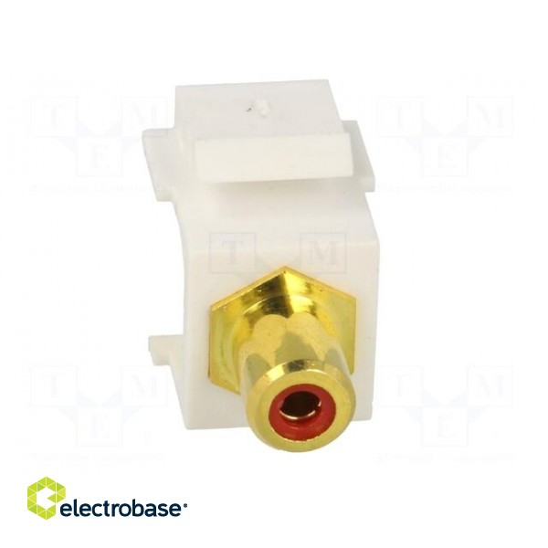 Socket | Transition: adapter | female x2 | straight | gold-plated image 9