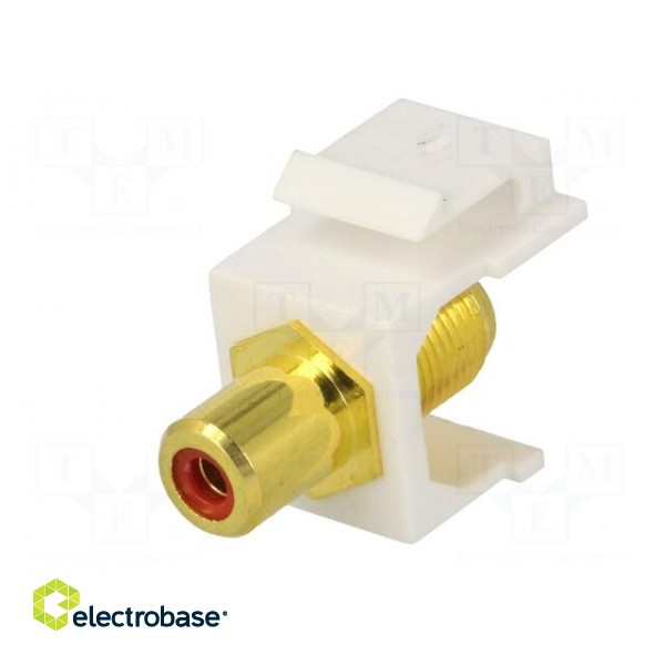 Socket | Transition: adapter | female x2 | straight | gold-plated image 2