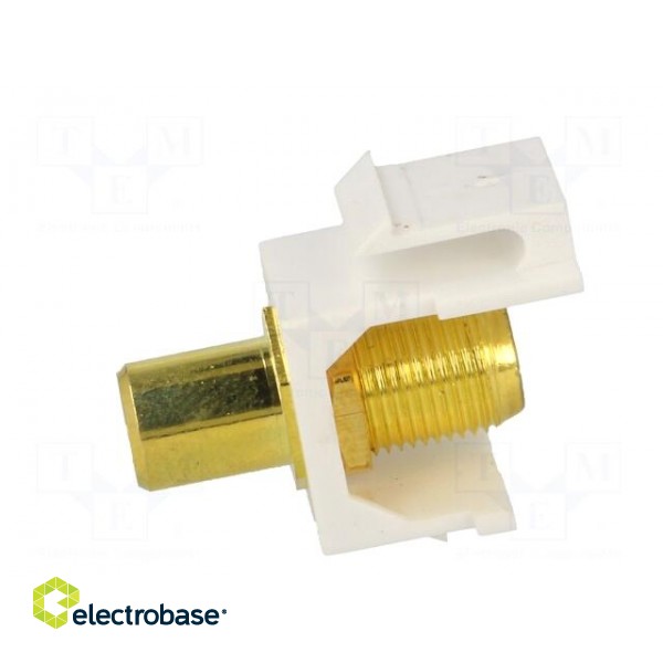 Socket | Transition: adapter | female x2 | straight | gold-plated image 3