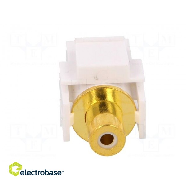 Socket | Transition: coupler | female x2 | straight | gold-plated image 5