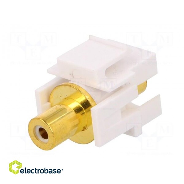 Socket | Transition: coupler | female x2 | straight | gold-plated image 6