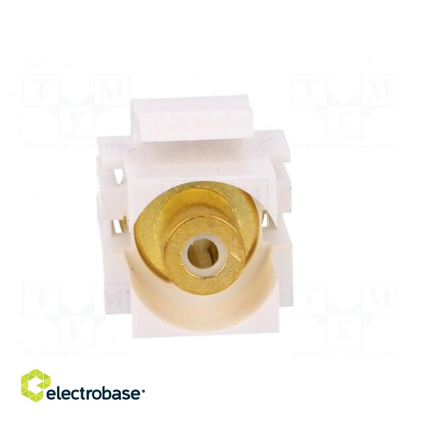 Socket | Transition: coupler | female x2 | straight | gold-plated image 9