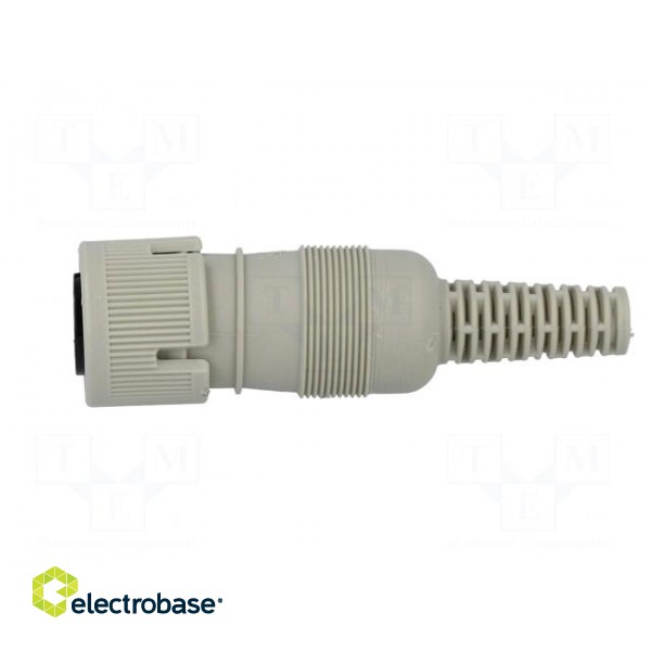 Plug | DIN | female | PIN: 4 | Layout: 216° | straight | for cable image 3