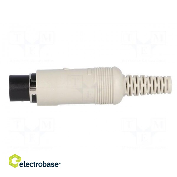 Plug | DIN | female | PIN: 5 | Layout: 180° | straight | for cable image 3