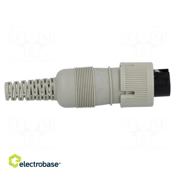 Plug | DIN | female | PIN: 5 | Layout: 180° | straight | for cable фото 7