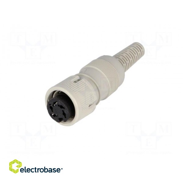 Plug | DIN | female | PIN: 5 | Layout: 240° | straight | for cable image 2