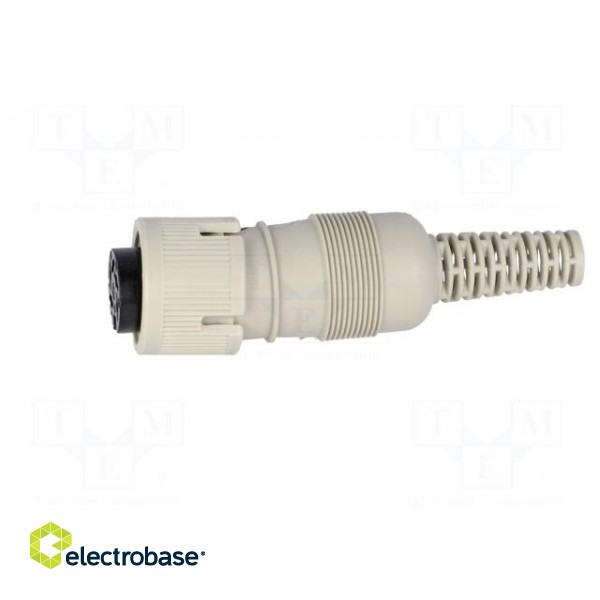 Plug | DIN | female | PIN: 5 | Layout: 240° | straight | for cable image 3