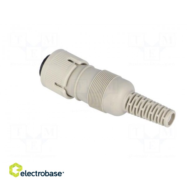 Plug | DIN | female | PIN: 5 | Layout: 240° | straight | for cable paveikslėlis 4