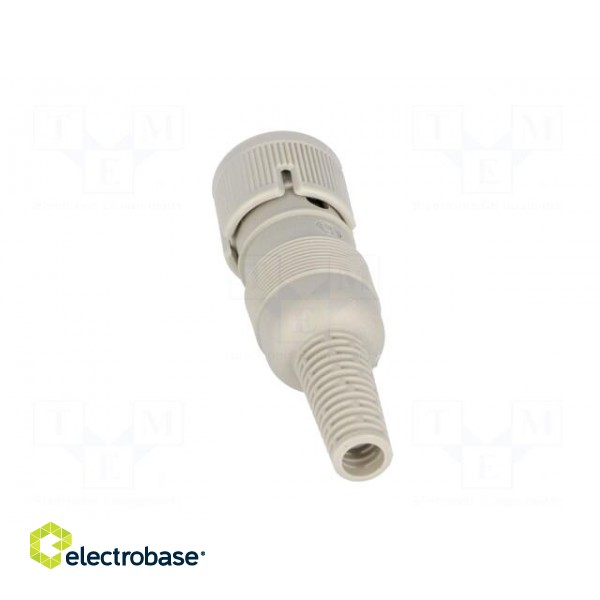 Plug | DIN | female | PIN: 5 | Layout: 240° | straight | for cable image 5