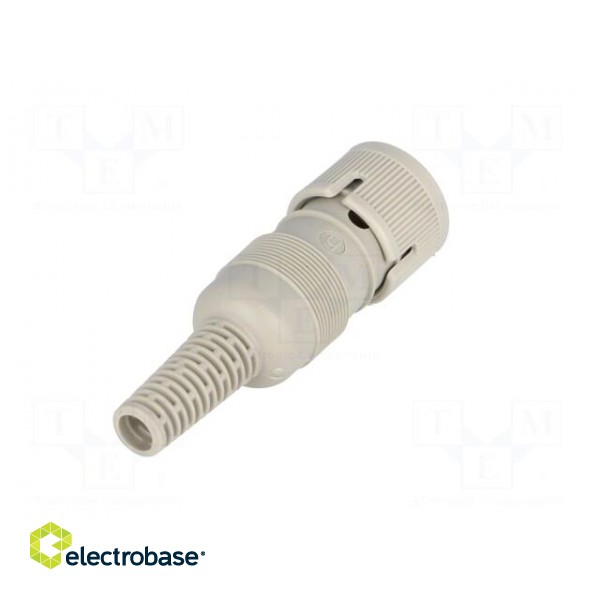 Plug | DIN | female | PIN: 5 | Layout: 240° | straight | for cable image 6
