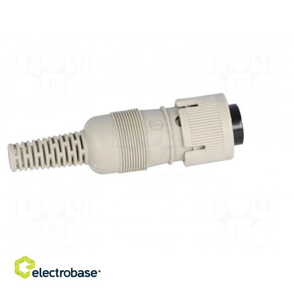 Plug | DIN | female | PIN: 5 | Layout: 240° | straight | for cable image 7