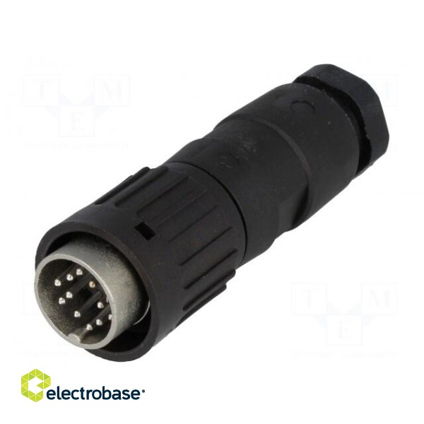 Plug | DIN | male | PIN: 12 | straight | for cable | soldering | 150V | 3A image 1