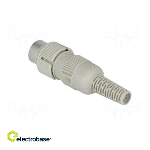 Plug | DIN | male | PIN: 6 | Layout: 240° | straight | for cable | soldering image 4