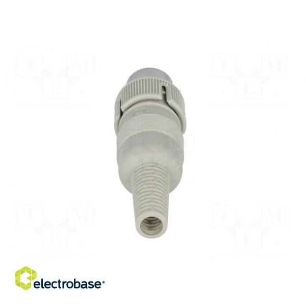 Plug | DIN | male | PIN: 6 | Layout: 240° | straight | for cable | soldering image 5
