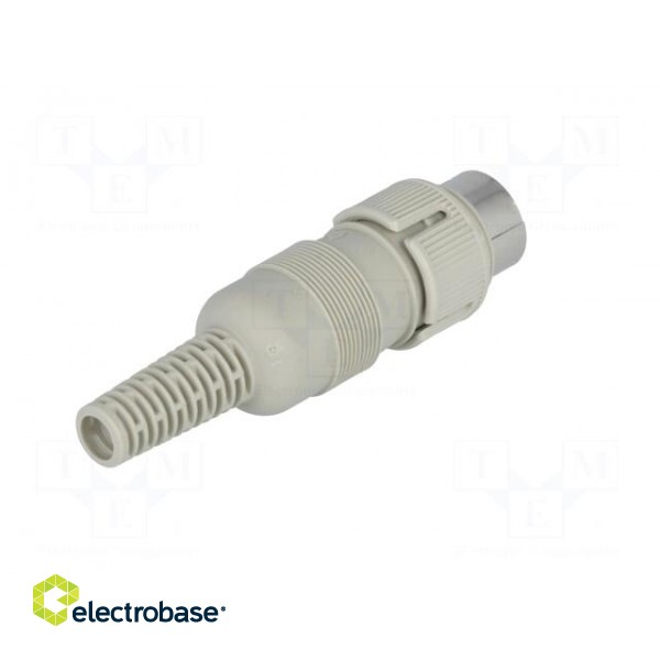 Plug | DIN | male | PIN: 6 | Layout: 240° | straight | for cable | soldering image 6