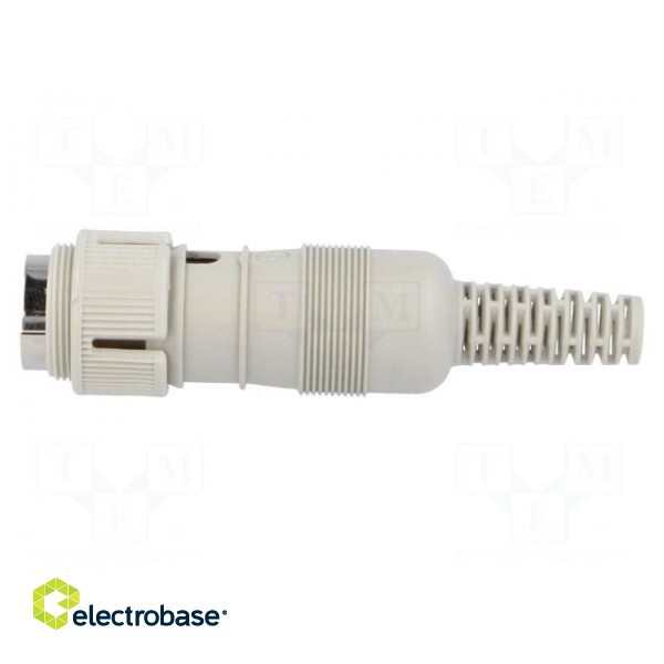 Plug | DIN | male | PIN: 8 | Layout: 262° | straight | for cable | soldering фото 3