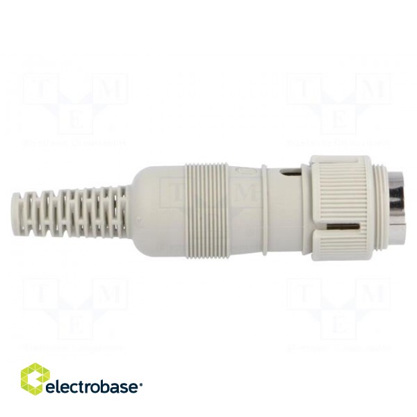 Plug | DIN | male | PIN: 8 | Layout: 262° | straight | for cable | soldering фото 7