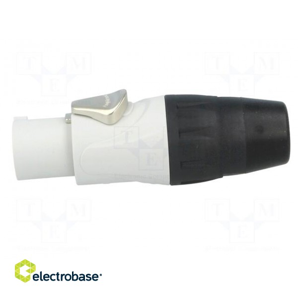 Plug | circular | female | PIN: 3 | for cable | 25A | thermoplastic | IP54 image 3